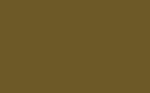 Light Bronze Green - Intelligent Satinwood - 1 L