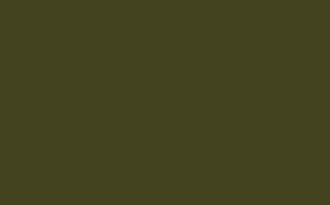 Olive Colour - Intelligent Matt Emulsion - 1 L
