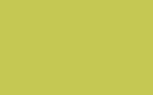 Pale Lime - Absolute Matt Emulsion - 1 L