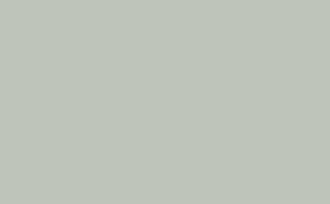 Pearl Colour - Dark - Absolute Matt Emulsion - 10 L