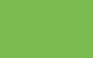 Phthalo Green - Absolute Matt Emulsion - 1 L
