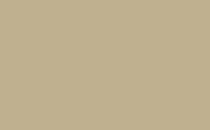 Roman Plaster - Intelligent Satinwood - 1 L