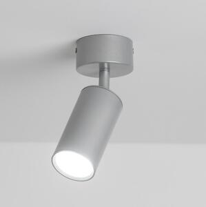 Brilagi - Badrumsspotlight SELE 1xGU10/30W/230V IP44 silver