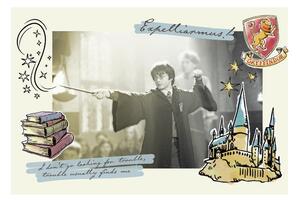 Konsttryck Harry Potter - Expelliarmus