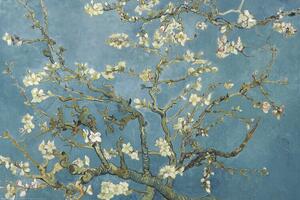 Poster, Affisch Mandelblomningar, Vincent van Gogh