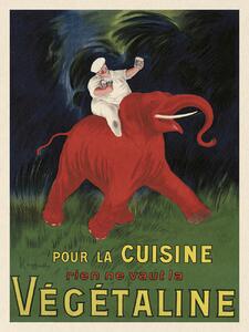 Konsttryck Végétaline (Vintage Ad Ft. Elephant) - Leonetto Cappiello, (30 x 40 cm)