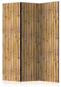 Rumsavdelare / Skärmvägg - Amazonian Wall - 135x172