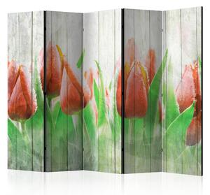 Rumsavdelare / Skärmvägg - Red tulips on wood II - 225x172