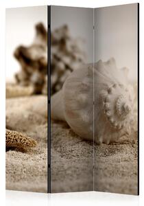 Rumsavdelare / Skärmvägg - Beach and shell - 135x172