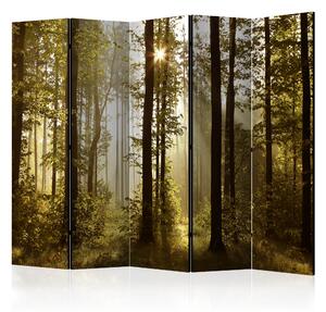 Rumsavdelare / Skärmvägg - Forest: Morning Sunlight II - 225x172