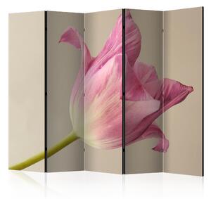 Rumsavdelare / Skärmvägg - Pink tulip II - 225x172