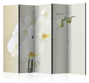 Rumsavdelare / Skärmvägg - White orchid II - 225x172