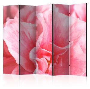 Rumsavdelare / Skärmvägg - Pink azalea flowers II - 225x172