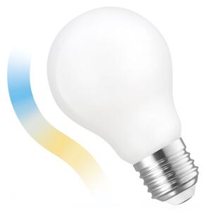 LED Ljusreglerad glödlampa A60 E27/5W/230V 2700-6500K Wi-Fi Tuya