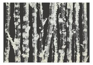 Fototapet - Stately Birches - Second Variant - 100x70