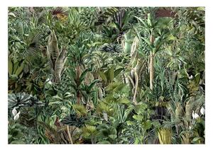 Fototapet - Richness of Jungle - 150x105
