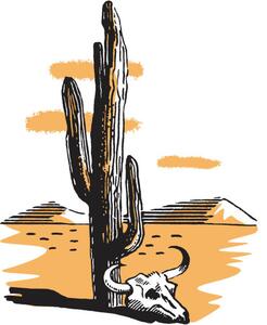 Illustration Cactus, CSA Images