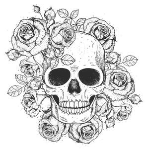 Illustration Skull and flowers hand drawn illustration., vidimages