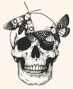 Illustration Hand drawn human skull head butterfly, Julia Solodukhina