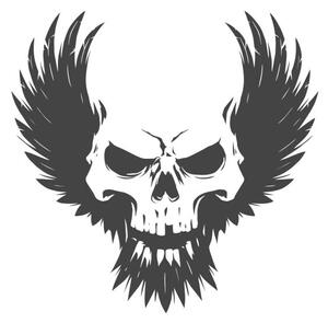 Illustration Black skull illustration with wings, d1sk
