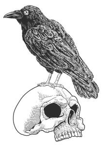 Illustration Crow Raven Corvus Bird and Skull Vintage Woodcut, ChrisGorgio