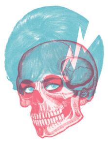Illustration Skull, CSA Images