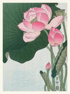 Konsttryck Blooming Lotus (Japandi Vintage) - Ohara Koson, (30 x 40 cm)