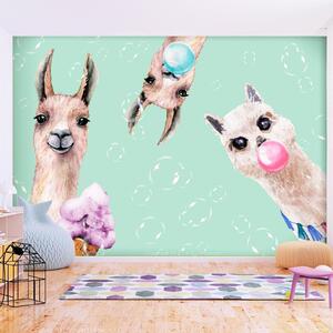 Fototapet - Crazy Llamas - 100x70