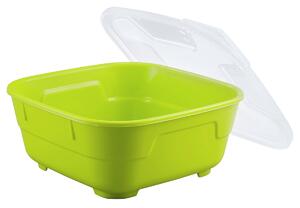 Thermohauser Återanvändbar matlåda Goodbowl; 1300ml, 18.5x18.5x7.6x7.6 cm (LxBxØxH); Äppelgrön; Kvadratisk; 5 Styck / Förpackning