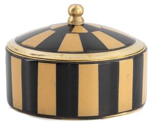 Ask Chelsey Circus Box