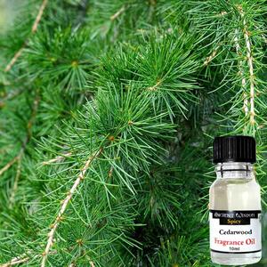 Cederträ Doftolja 10ml - Ancient Wisdom