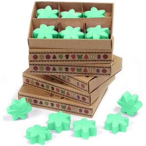 Hidden Garden Doftvax 6-pack