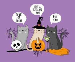 Illustration Hand drawn witch cats and speech, Regina Tolgyesi