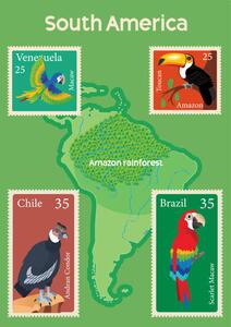 Illustration South America Map and Tropical Birds Stamps, drmakkoy