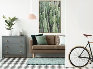 Inramad Poster / Tavla - Cactus Plantation - 20x30 Svart ram