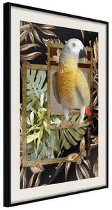 Inramad Poster / Tavla - Composition with Gold Parrot - 20x30 Svart ram med passepartout