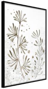 Inramad Poster / Tavla - Dried Plants - 20x30 Guldram