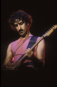 Fotografi Portrait of rock musician Frank Zappa, 1982