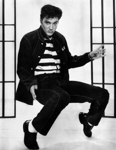 Fotografi Jailhouse rock, 1957