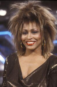 Fotografi Tina Turner, 1990