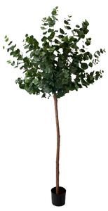 Konstväxt Eucalyptus Ball tree - 170cm