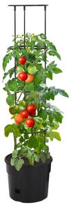 Kruka för tomatplanta Ø29,5x115 cm polypropylen