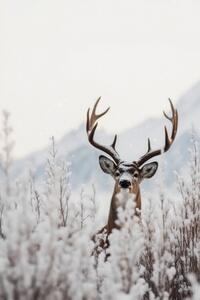 Fotografi Curious Deer, Treechild