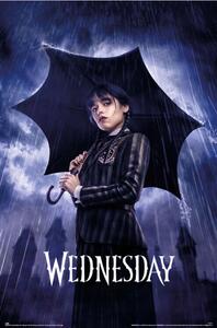 Poster, Affisch Wednesday - Umbrella, (61 x 91.5 cm)