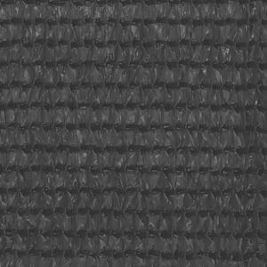 Balkongskärm svart 120x300 cm HDPE