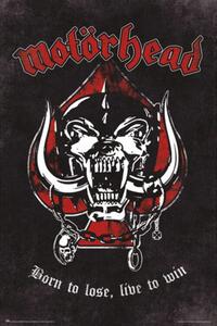 Poster, Affisch Motorhead - Born To Lose