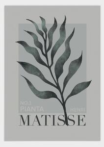 H. Matisse och poster - 30x40