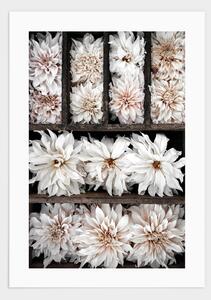 Flower box poster - 21x30