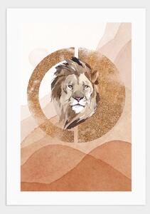 Male lion 2 poster - 30x40
