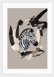 Zebra poster - 21x30